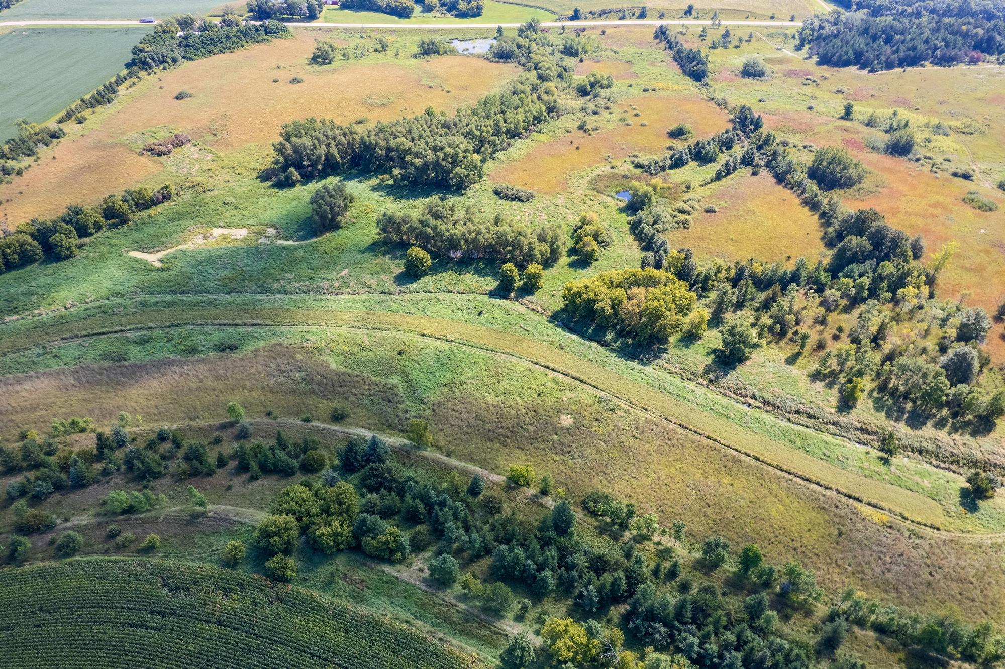 Tbd 211th Avenue Le Center, MN 56057 - Photo 10 of 37