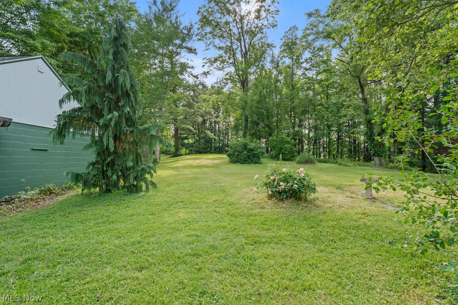 5003 Rootstown Road Ravenna, OH 44266 - Photo 49 of 50 Private back yard.