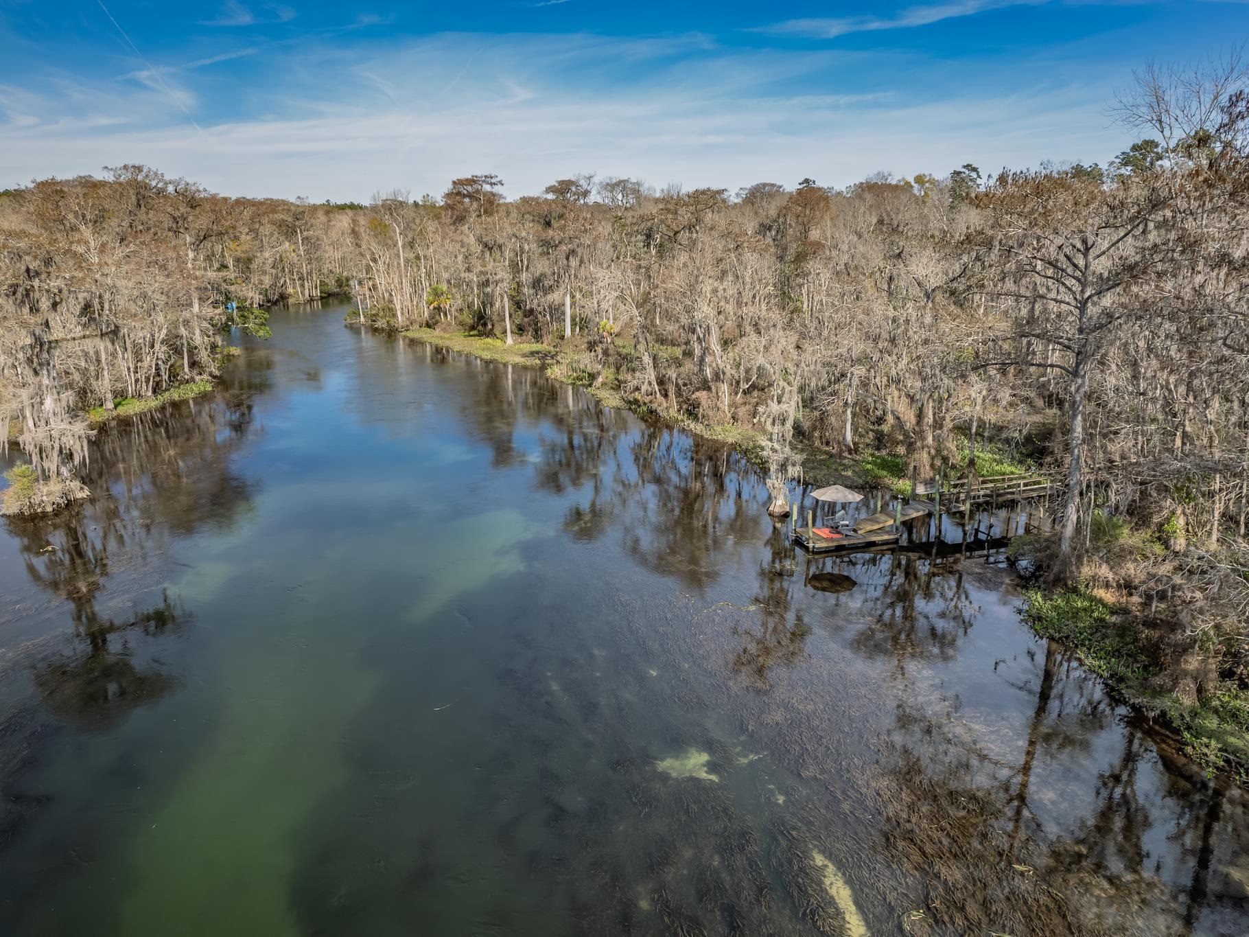 426 River Plantation Road Crawfordville, FL 32327 - Photo 17 of 50