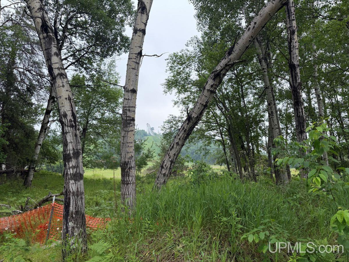 Tbd Bellagomba Road Iron Mountain, MI 49801 - Photo 6 of 6