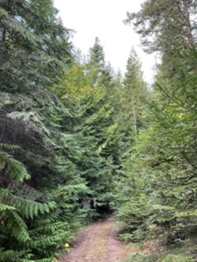 Nka Leslie Creek Road Chewelah, WA 99109 - Photo 2 of 8