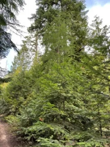 $1,399,000 | Nka Leslie Creek Road, Chewelah, WA 99109