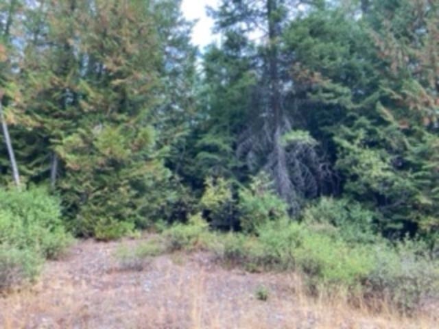 Nka Leslie Creek Road Chewelah, WA 99109 - Photo 4 of 8