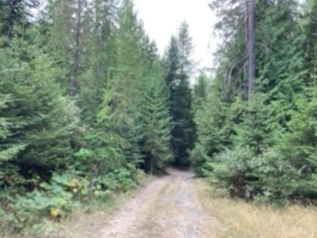 Nka Leslie Creek Road Chewelah, WA 99109 - Photo 5 of 8