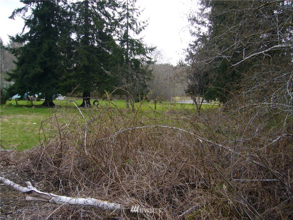 999 K Street Forks, WA 98331 - Photo 2 of 3 Gallery Image 2