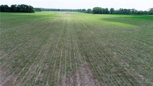 $831,250 | 102nd Street, Gilman City, MO 64642