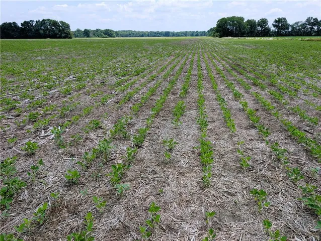 $831,250 | 102nd Street, Gilman City, MO 64642