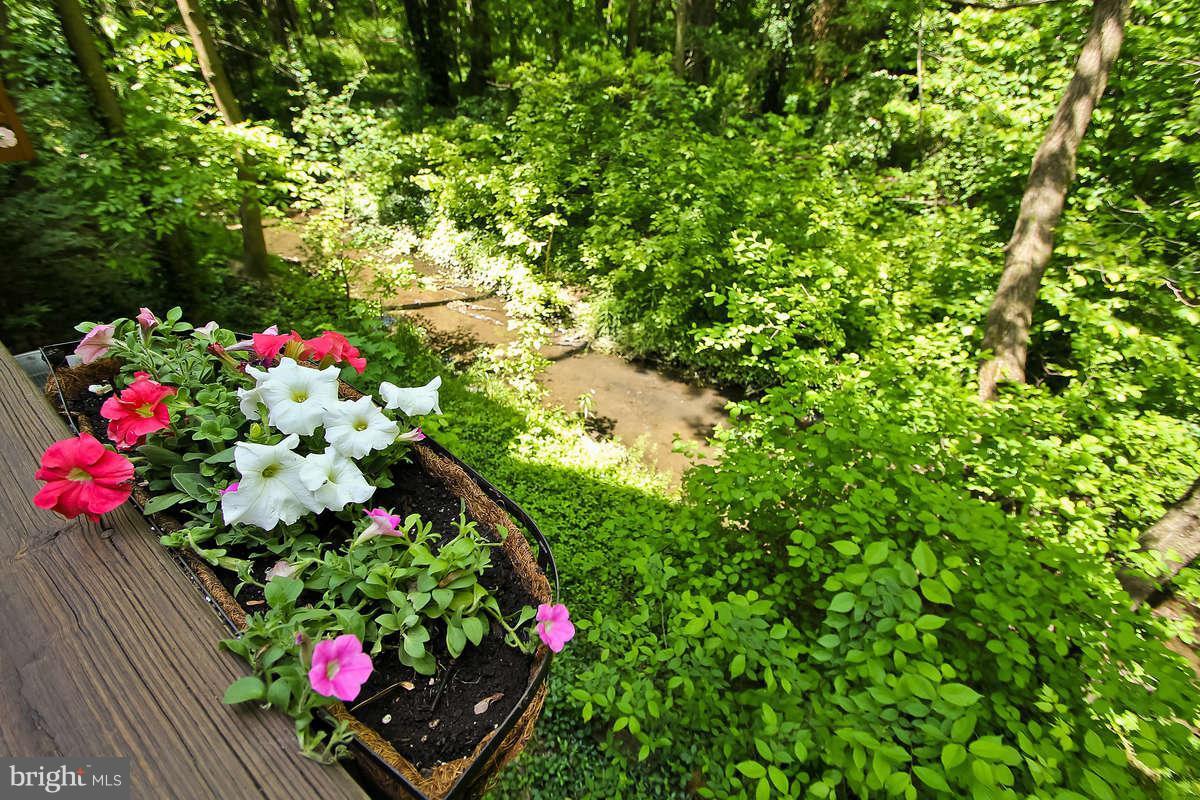 156 Rees Place Falls Church, VA 22046 - Photo 29 of 30 Exterior (Rear)