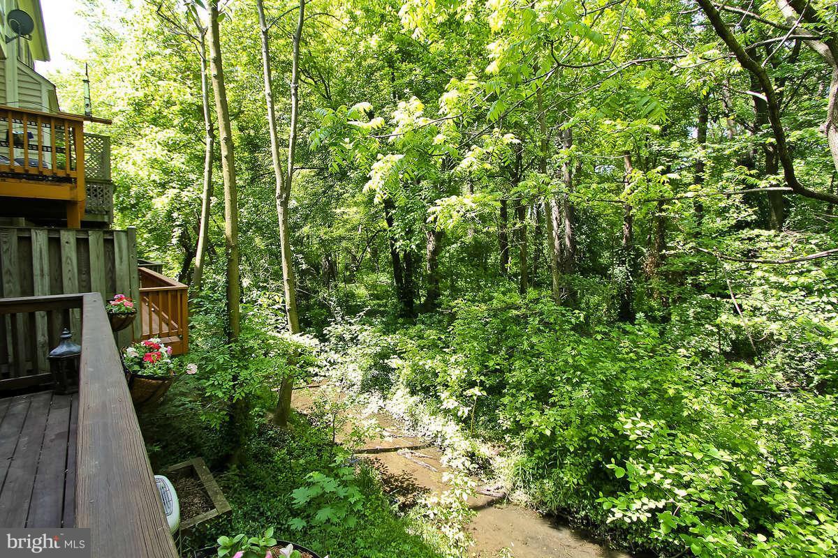 156 Rees Place Falls Church, VA 22046 - Photo 30 of 30 Exterior (Rear)