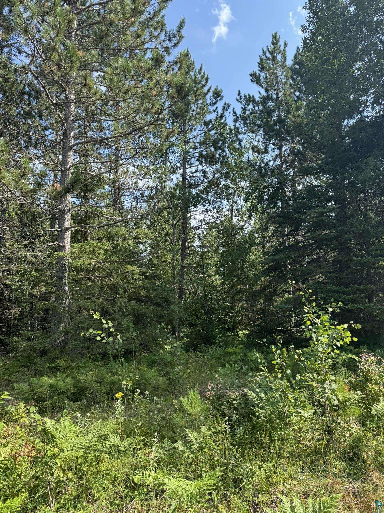 Xx Xx High Ridge Drive Silver Bay, MN 55614 - Photo 19 of 29