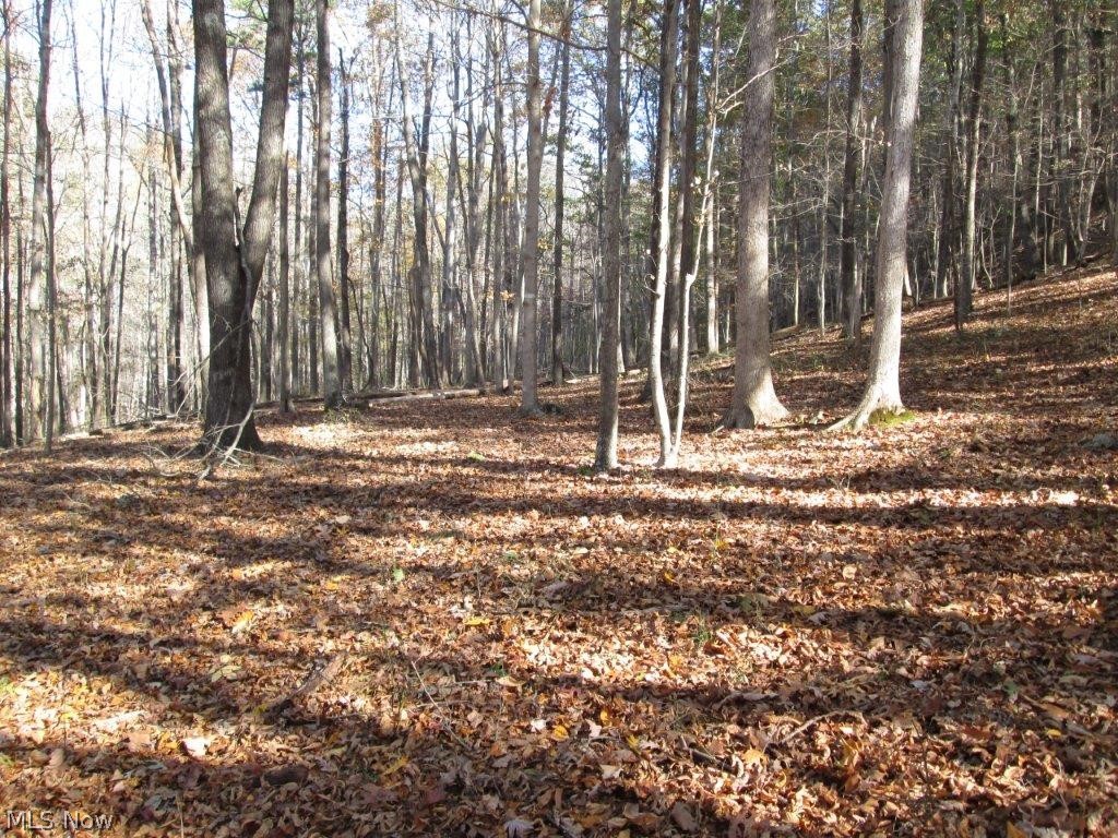 2518 Peniel Road Gay, WV 25244 - Photo 4 of 20
