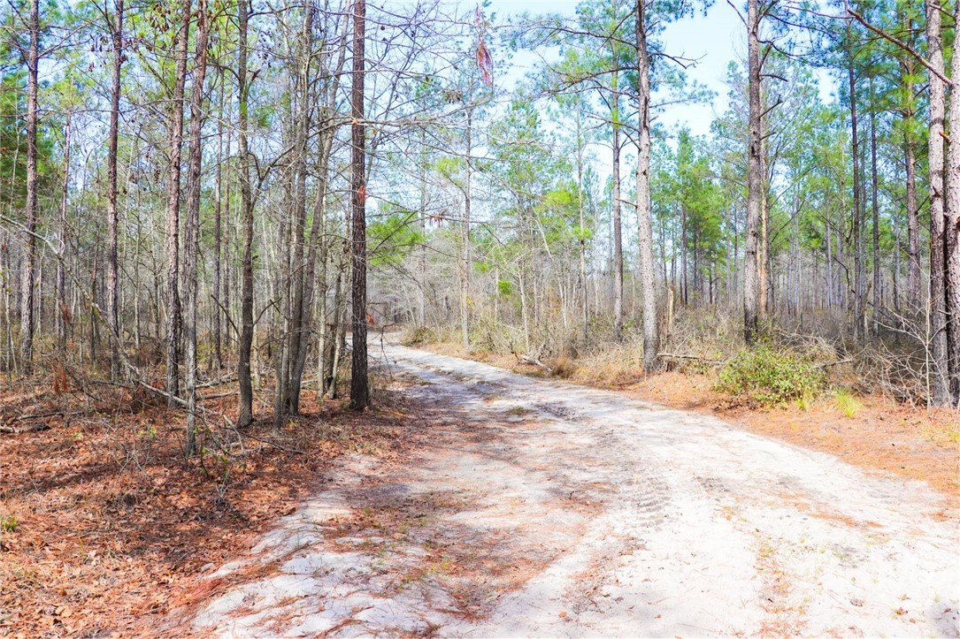 0 Tillman Eason Road Claxton, GA 30417 - Photo 13 of 28