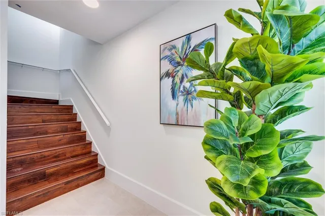 a view of a plant with a plant