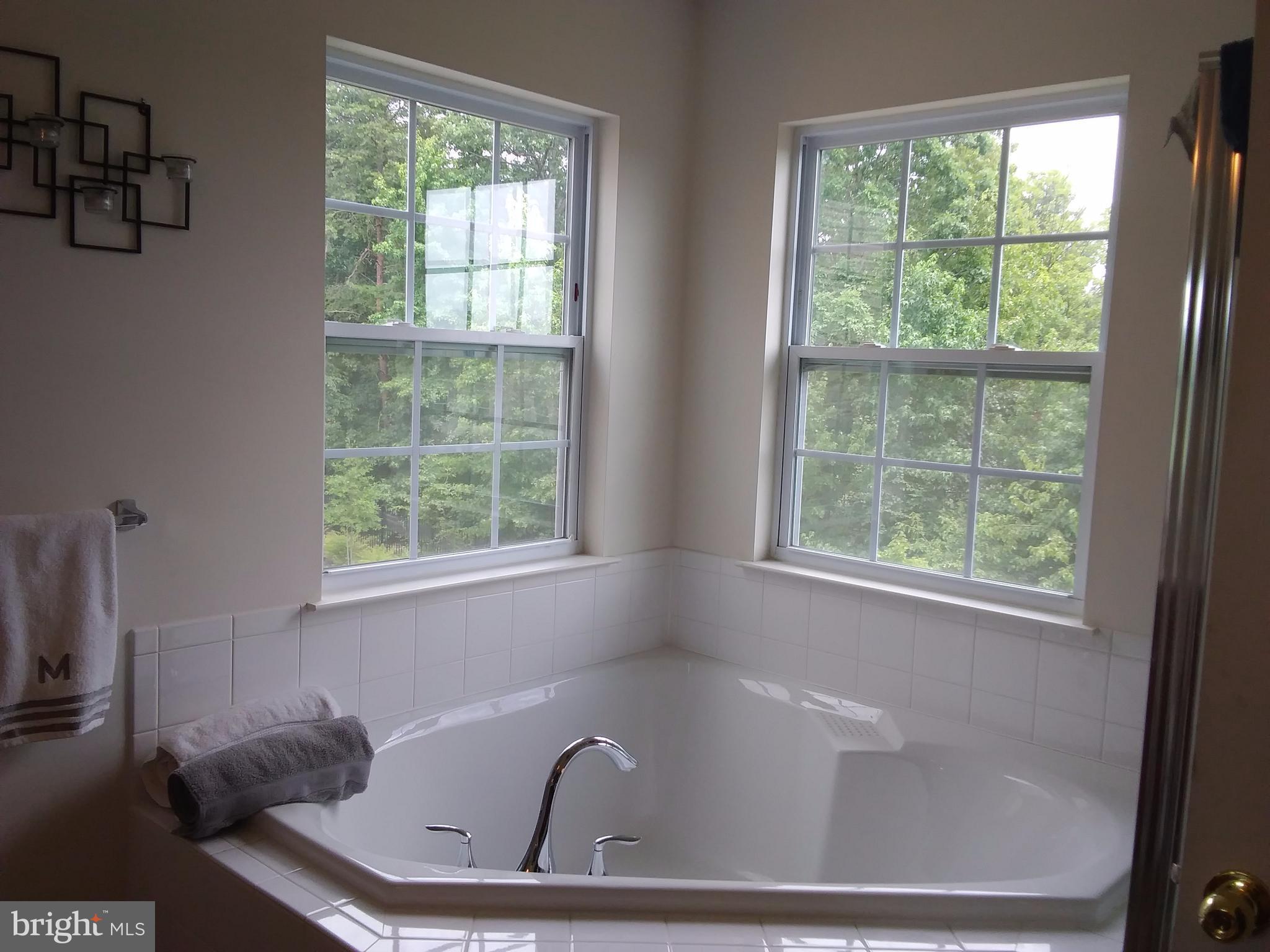 9721 Davison Road Baltimore, MD 21220 - Photo 15 of 20 Bath (Master)