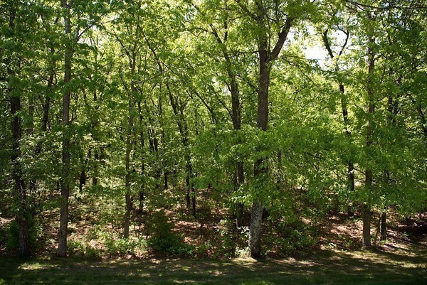 45 Scotland Heights Road Haverhill, MA 01832 - Photo 18 of 30 Gallery Image 18