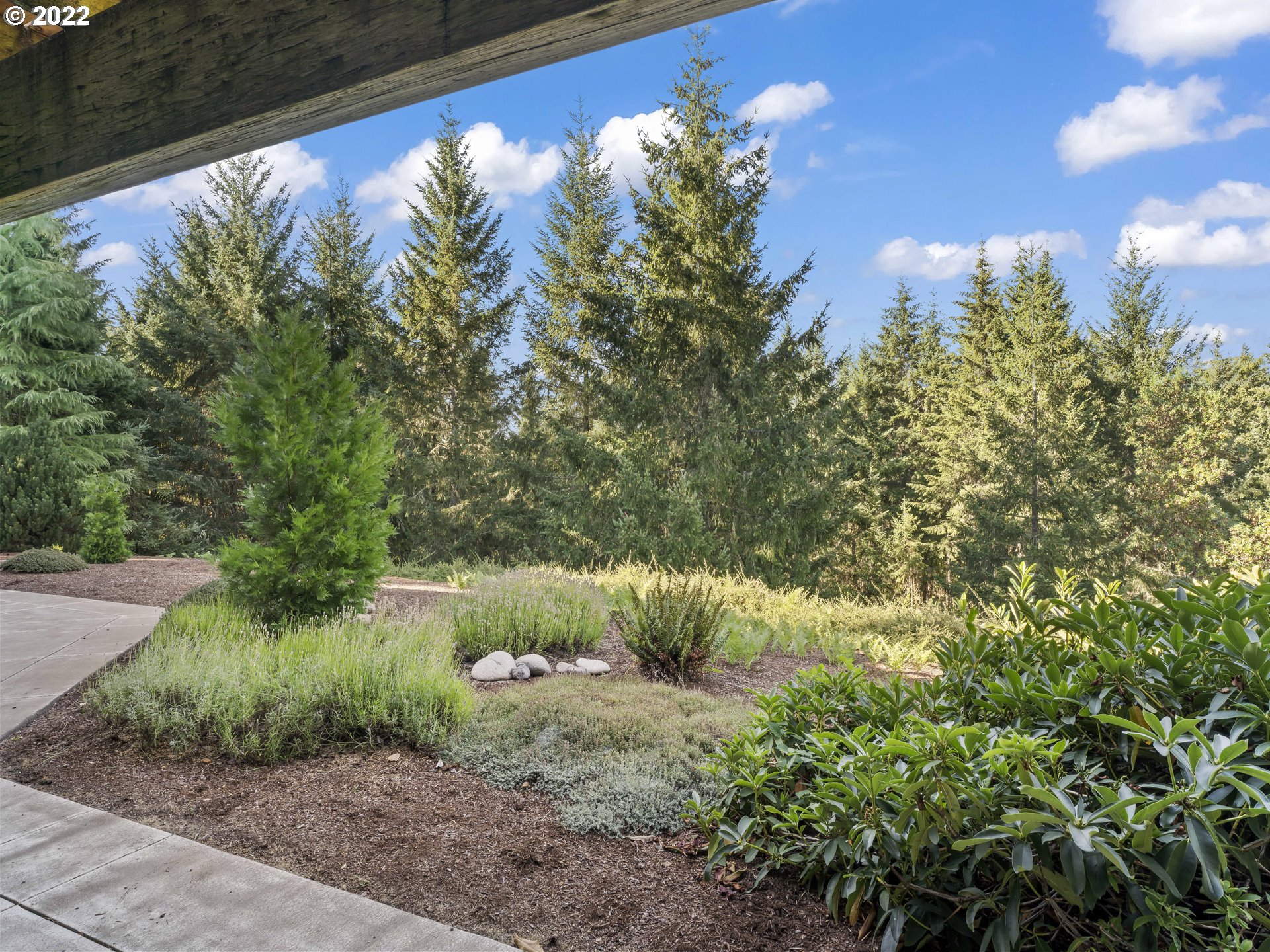 30923 Fox Hollow Road Eugene, OR 97405 - Photo 25 of 31 a view of a yard with a tree
