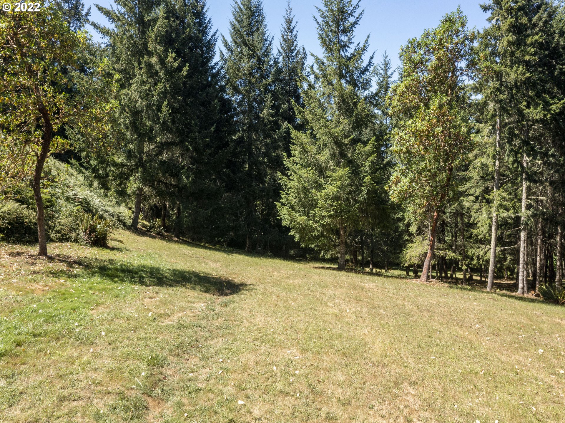 30923 Fox Hollow Road Eugene, OR 97405 - Photo 27 of 31 a view of a yard with large trees