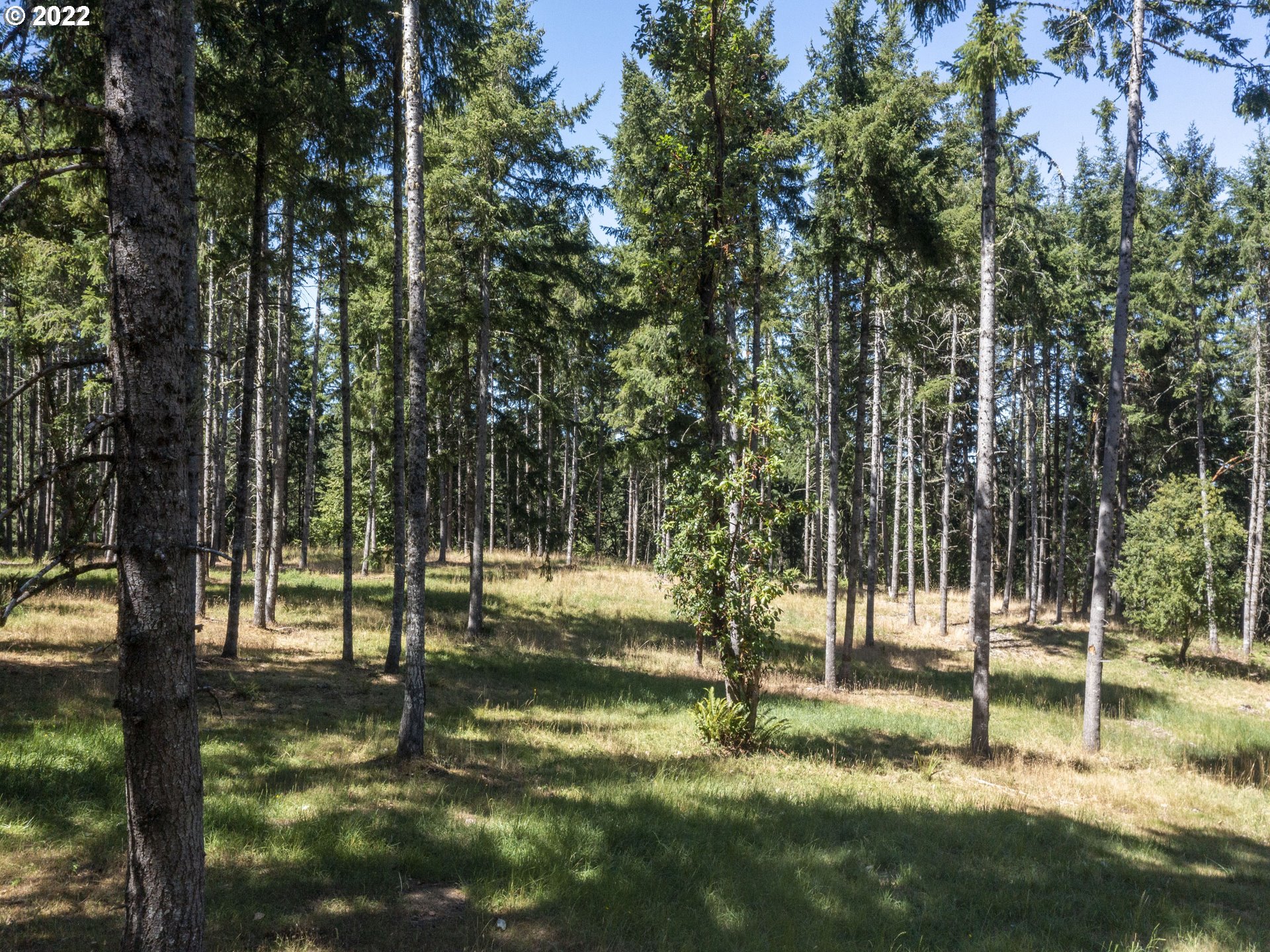 30923 Fox Hollow Road Eugene, OR 97405 - Photo 28 of 31