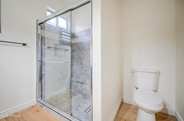 a bathroom with a shower and toilet