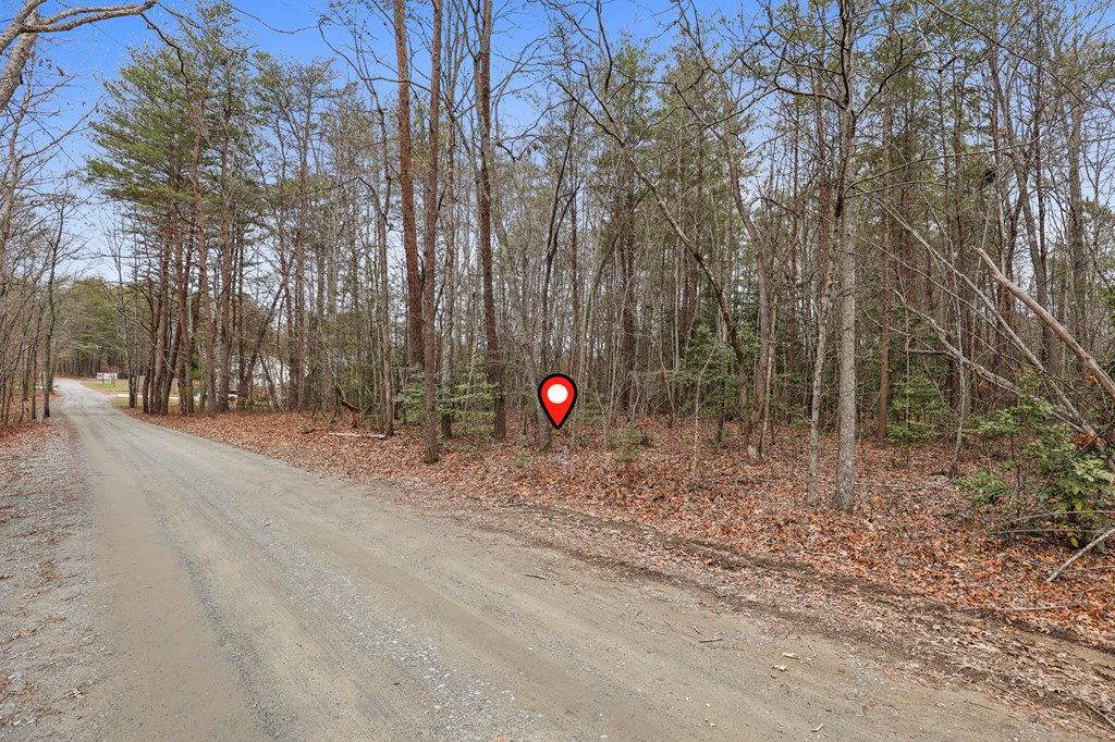 Lot 5 Red Bird Blue Ridge Blue Ridge, GA 30513 - Photo 14 of 16 Gallery Image 14