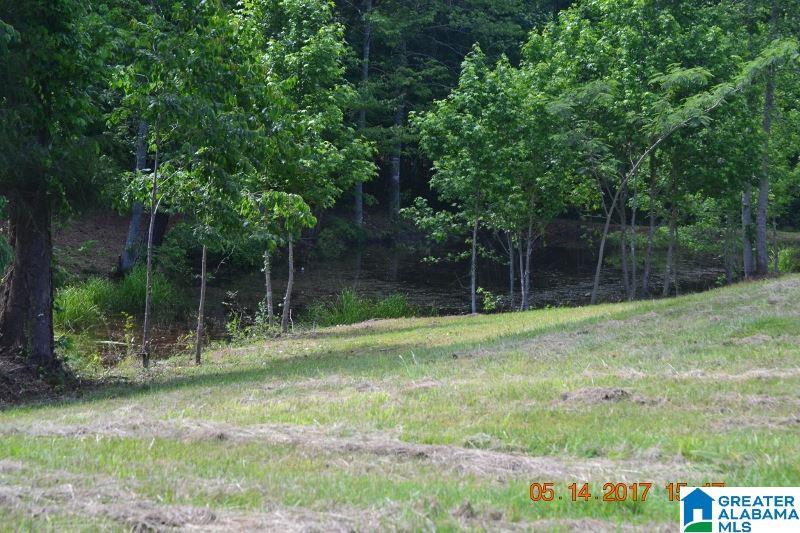 2257 County Road 55 Clanton, AL 35046 - Photo 16 of 35