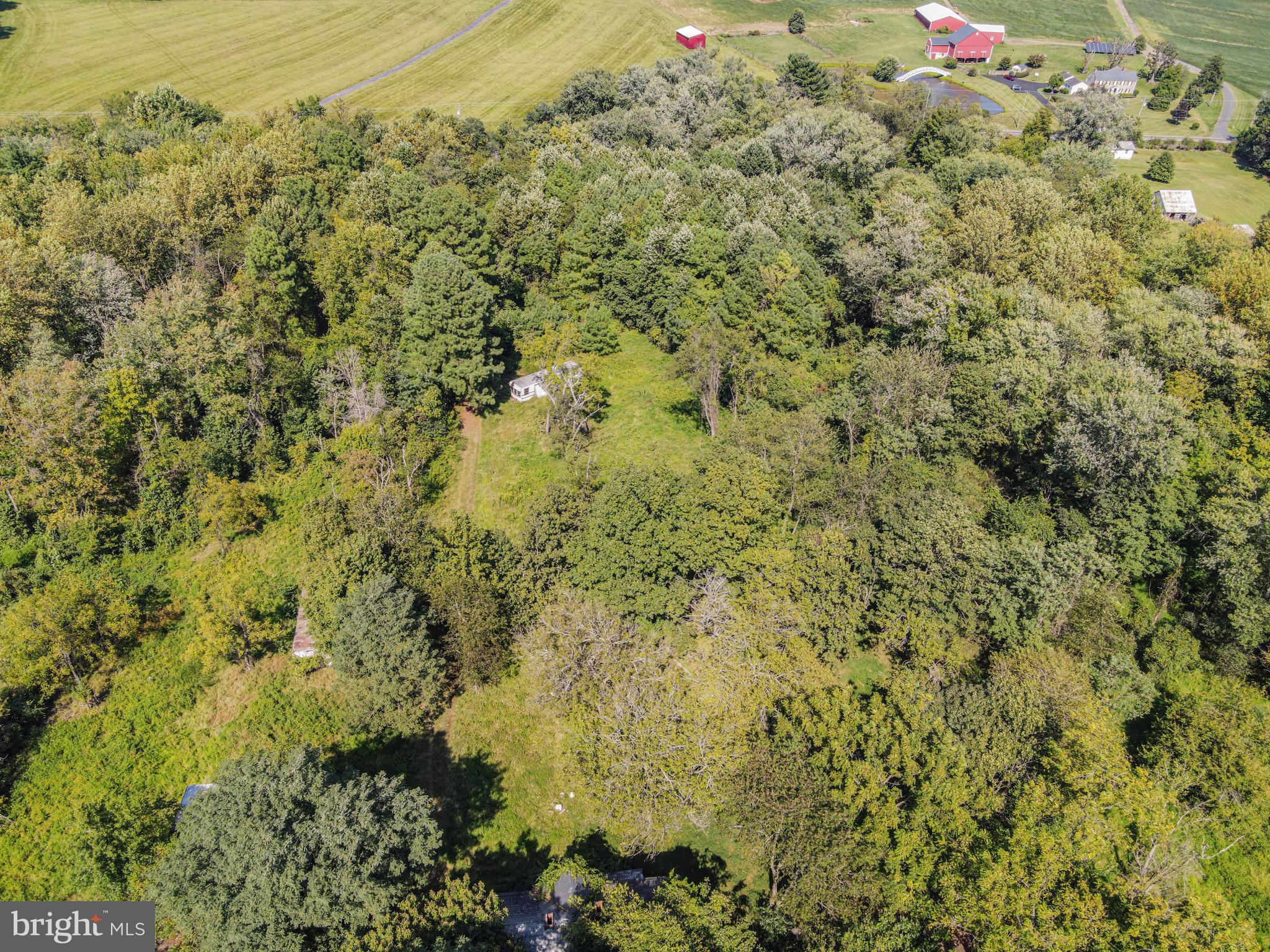 2017 Castleton Road Darlington, MD 21034 - Photo 20 of 28 a view of a bunch of trees and bushes