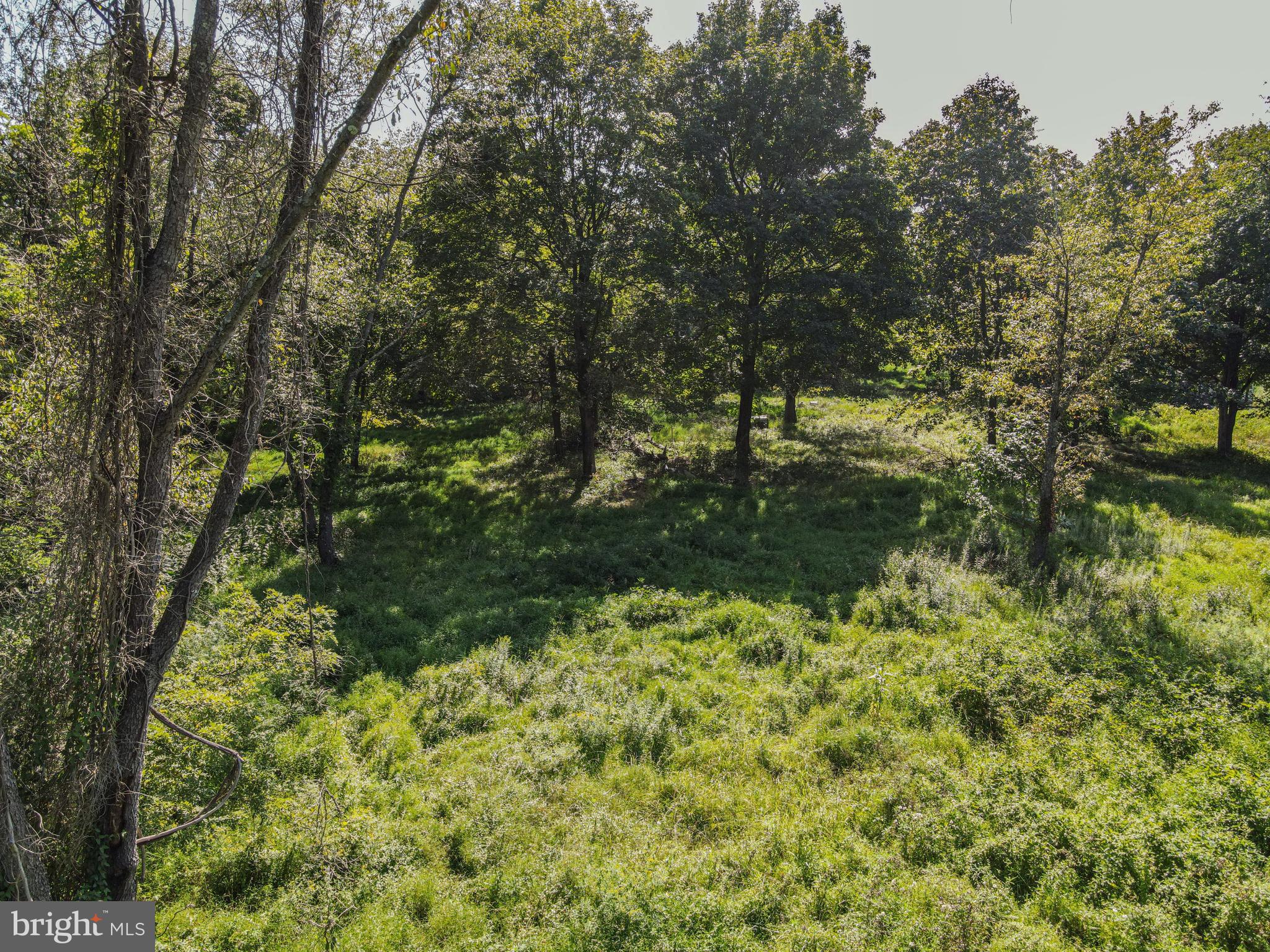 2017 Castleton Road Darlington, MD 21034 - Photo 22 of 28 a view of a yard with a tree