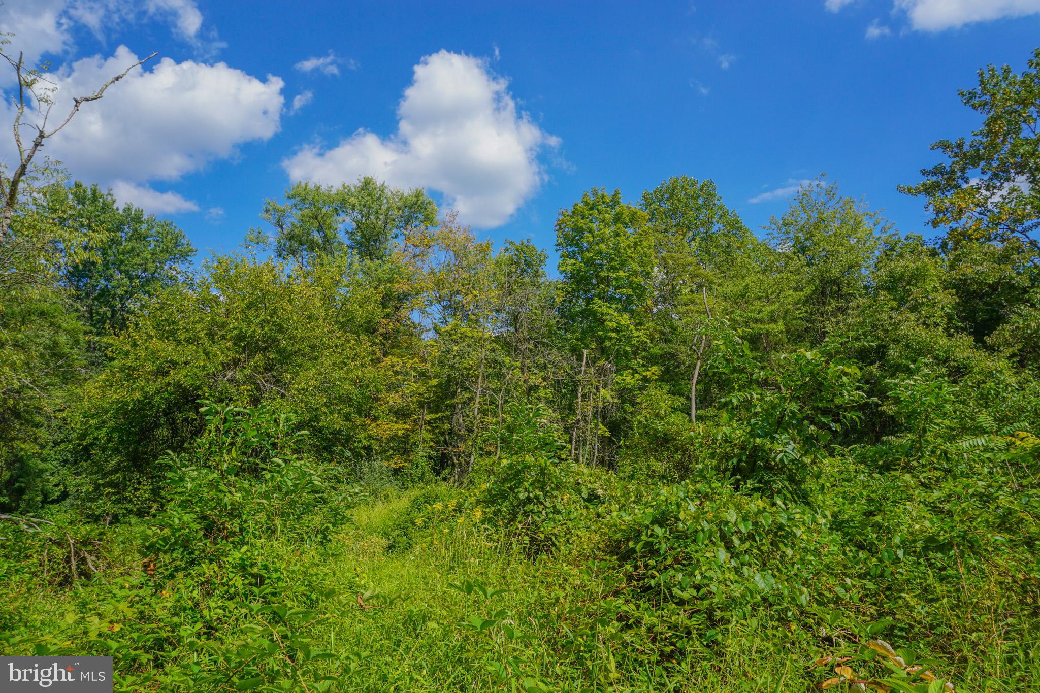 2017 Castleton Road Darlington, MD 21034 - Photo 23 of 28 a view of a flower in a garden