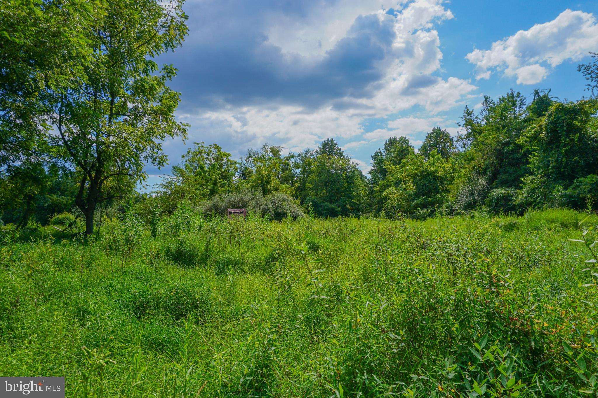 2017 Castleton Road Darlington, MD 21034 - Photo 24 of 28 a view of a green field with lots of bushes