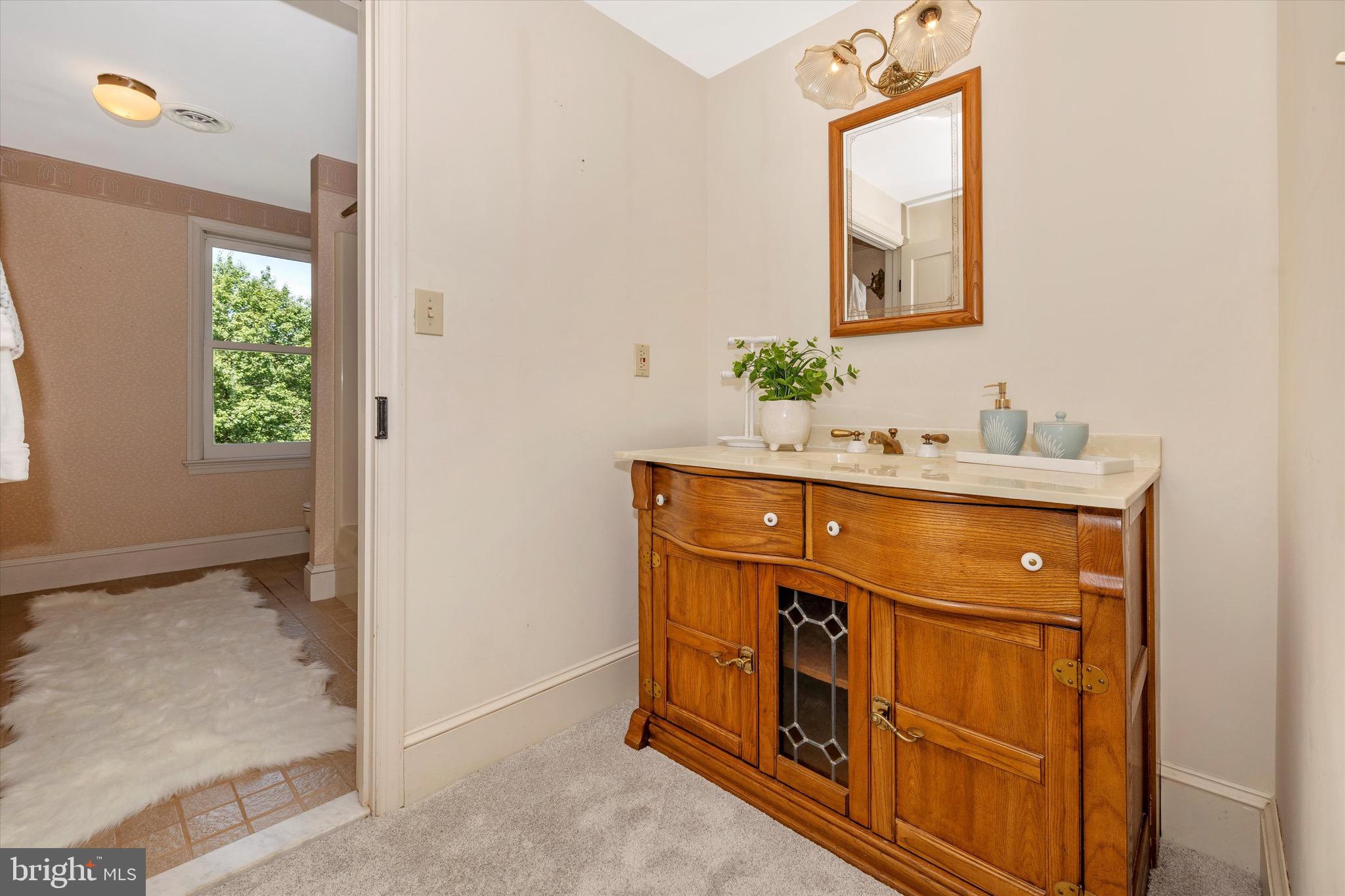 8423 Yellow Springs Road Frederick, MD 21702 - Photo 131 of 136