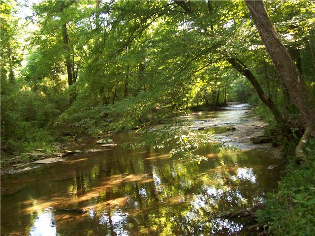 990 Bloom Landing Road Charlotte, TN 37036 - Photo 1 of 6 back yard creek