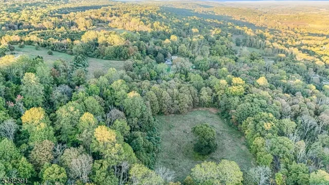 an aerial view of residential houses with outdoor space and trees