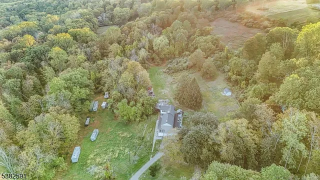 a close up of a plant