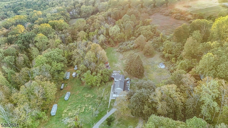 49 Mt Pleasant Road Columbia, NJ 07832 - Photo 3 of 47 a close up of a plant