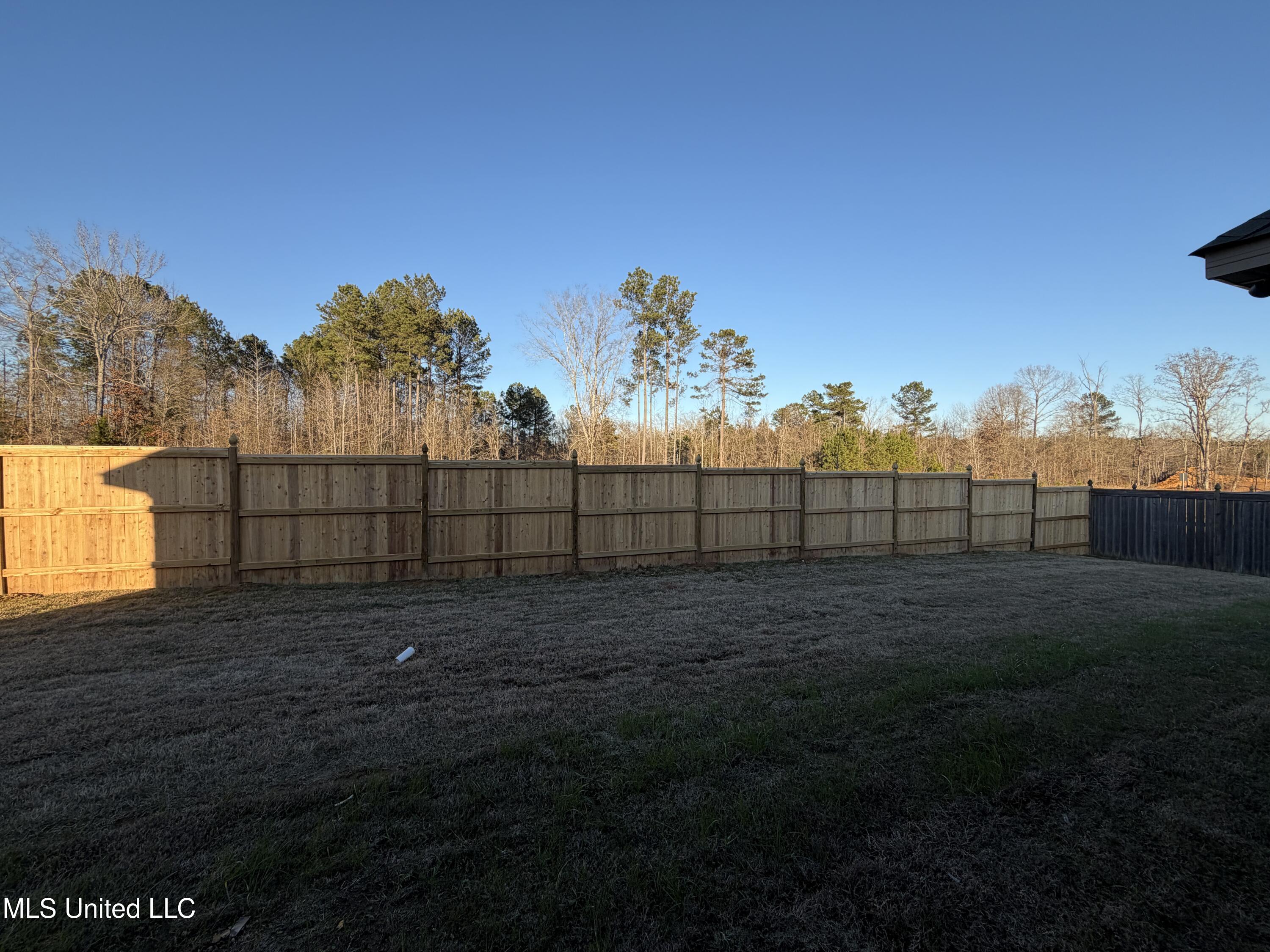 177 Cornerstone Drive Brandon, MS 39042 - Photo 17 of 17 IMG_1319