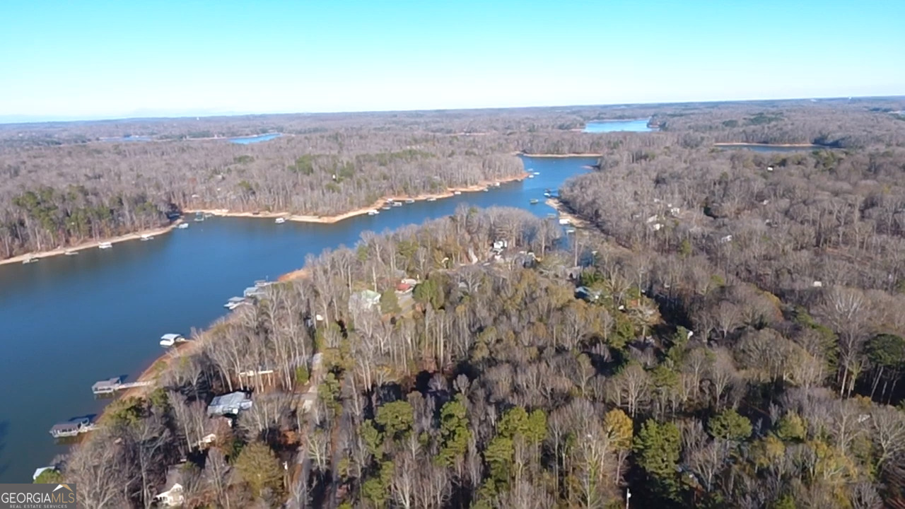 813 Normandy Trail Lavonia, GA 30553 - Photo 29 of 32 a view of a lake in middle of a field