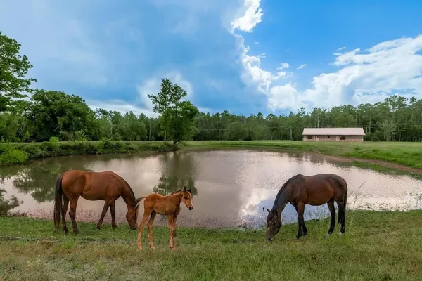 a view of a lake with a yard