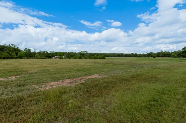 a view of a backyard of a house with a yard