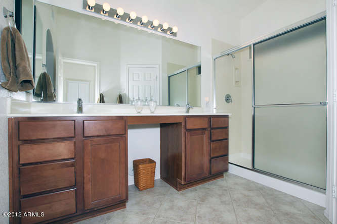 16134 Piccadilly Road Goodyear, AZ 85395 - Photo 12 of 21 Master Bath