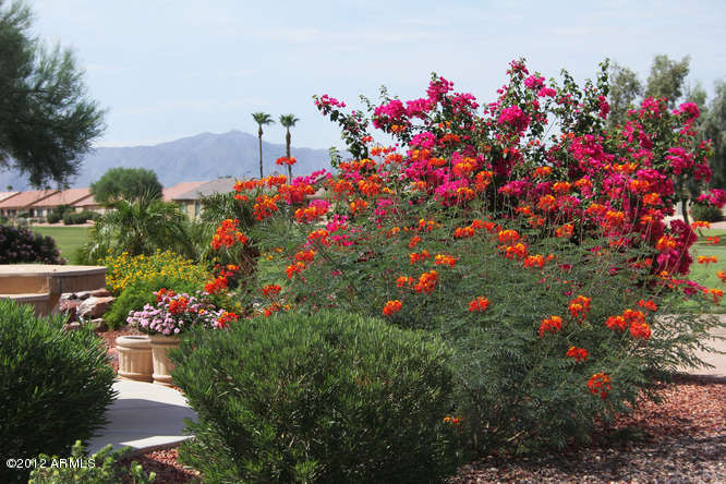 16134 Piccadilly Road Goodyear, AZ 85395 - Photo 3 of 21 Mountain Views