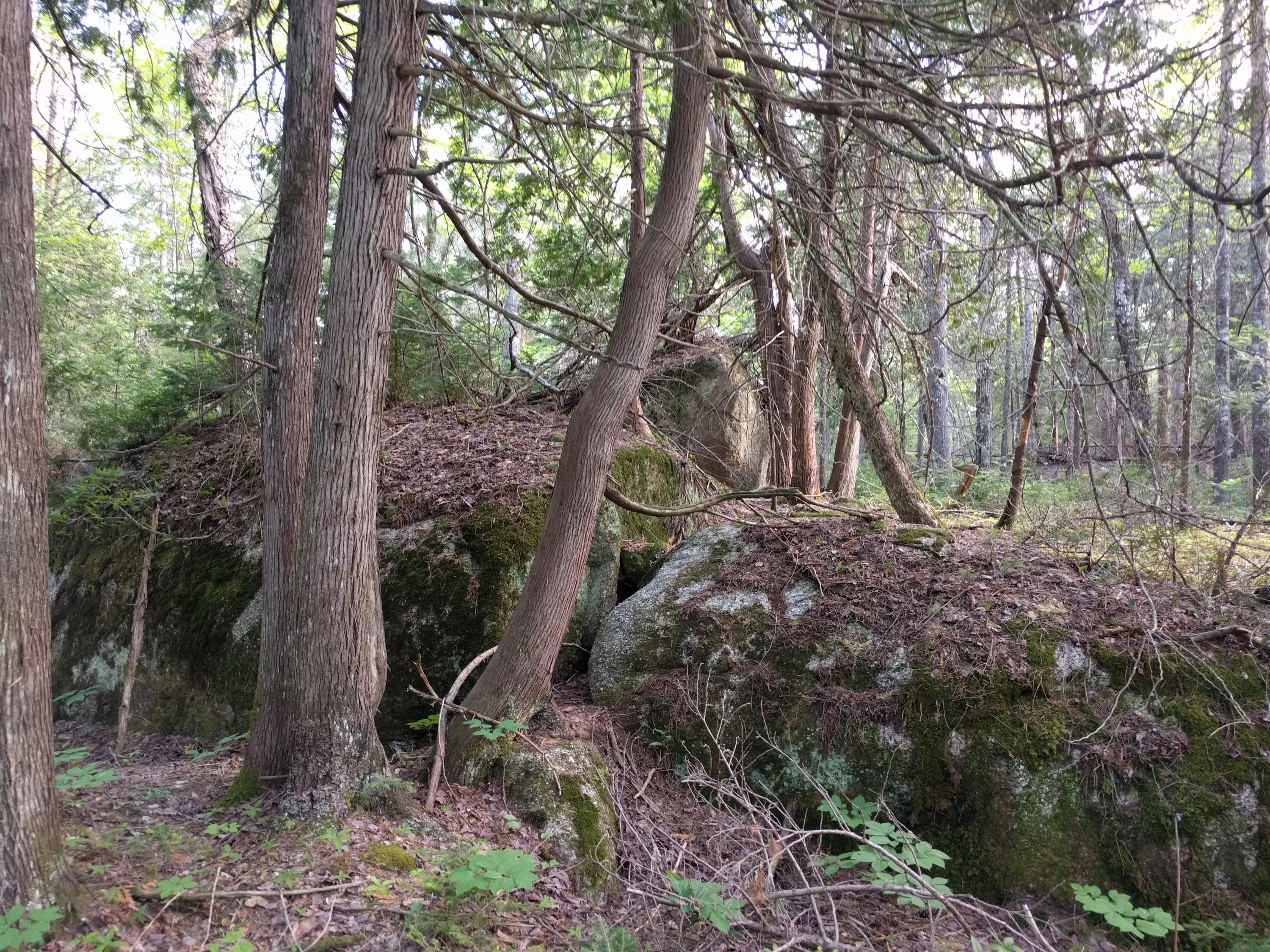Lot 42 Lakeview Road Penobscot, ME 04476 - Photo 3 of 7 toddy6