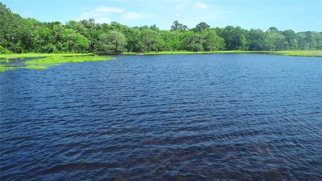 $18,500,000 | 15305 Northwest Highway 320, Micanopy, FL 32667