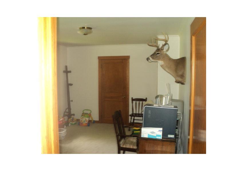 Bedroom. Den or 3rd bedroom-new carpet-new paint [by the way,this deer was also in the back yard]