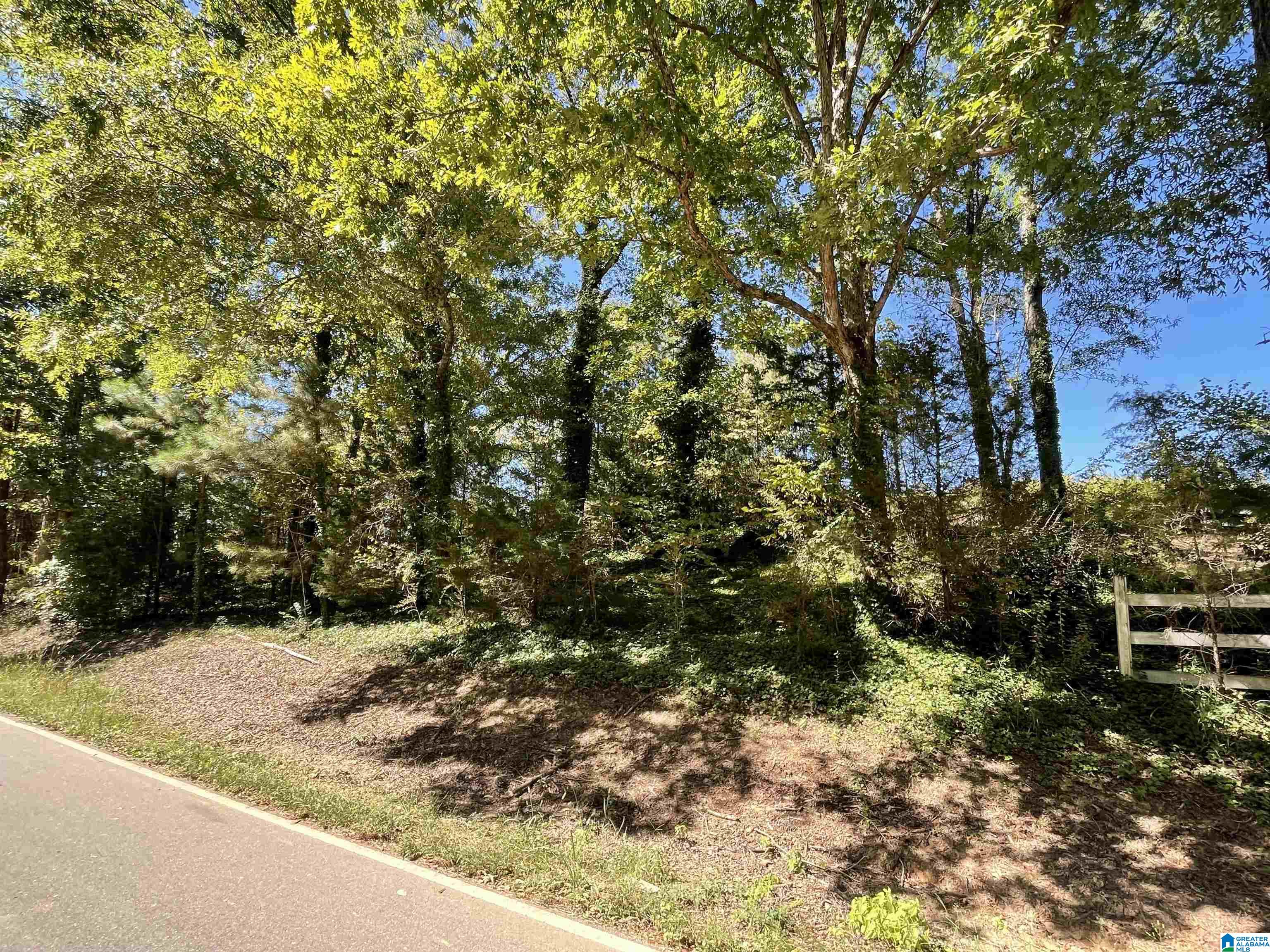 0 Hughes Road Columbiana, AL 35051 - Photo 2 of 2