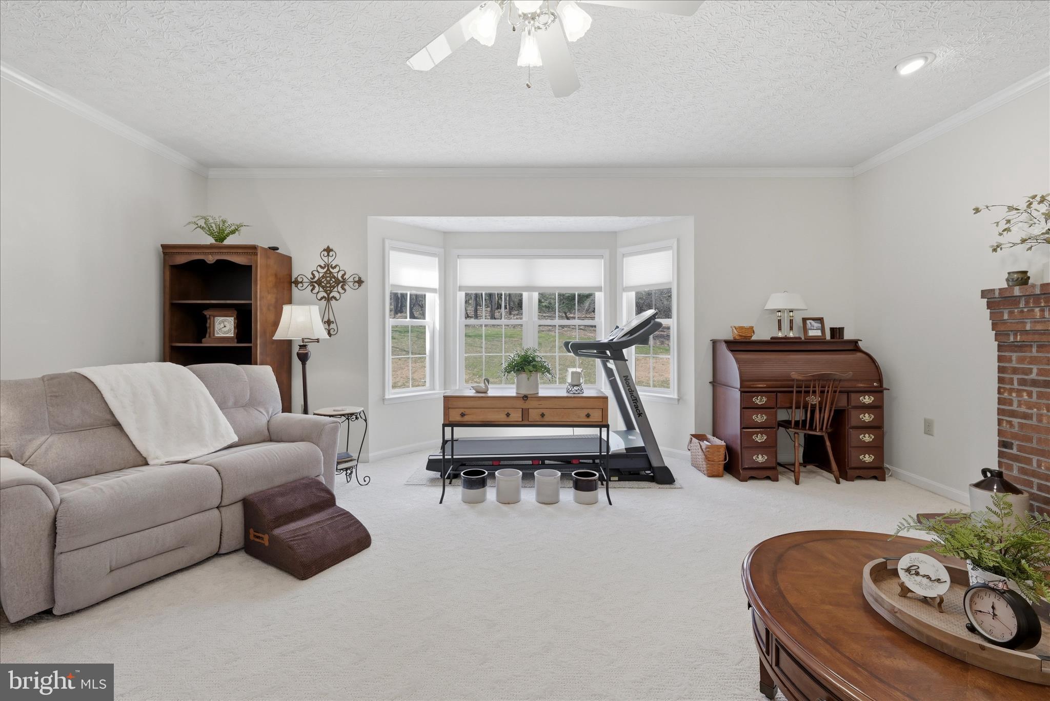 155 Bunchberry Ridge Court Stephens City, VA 22655 - Photo 17 of 71 Living Room