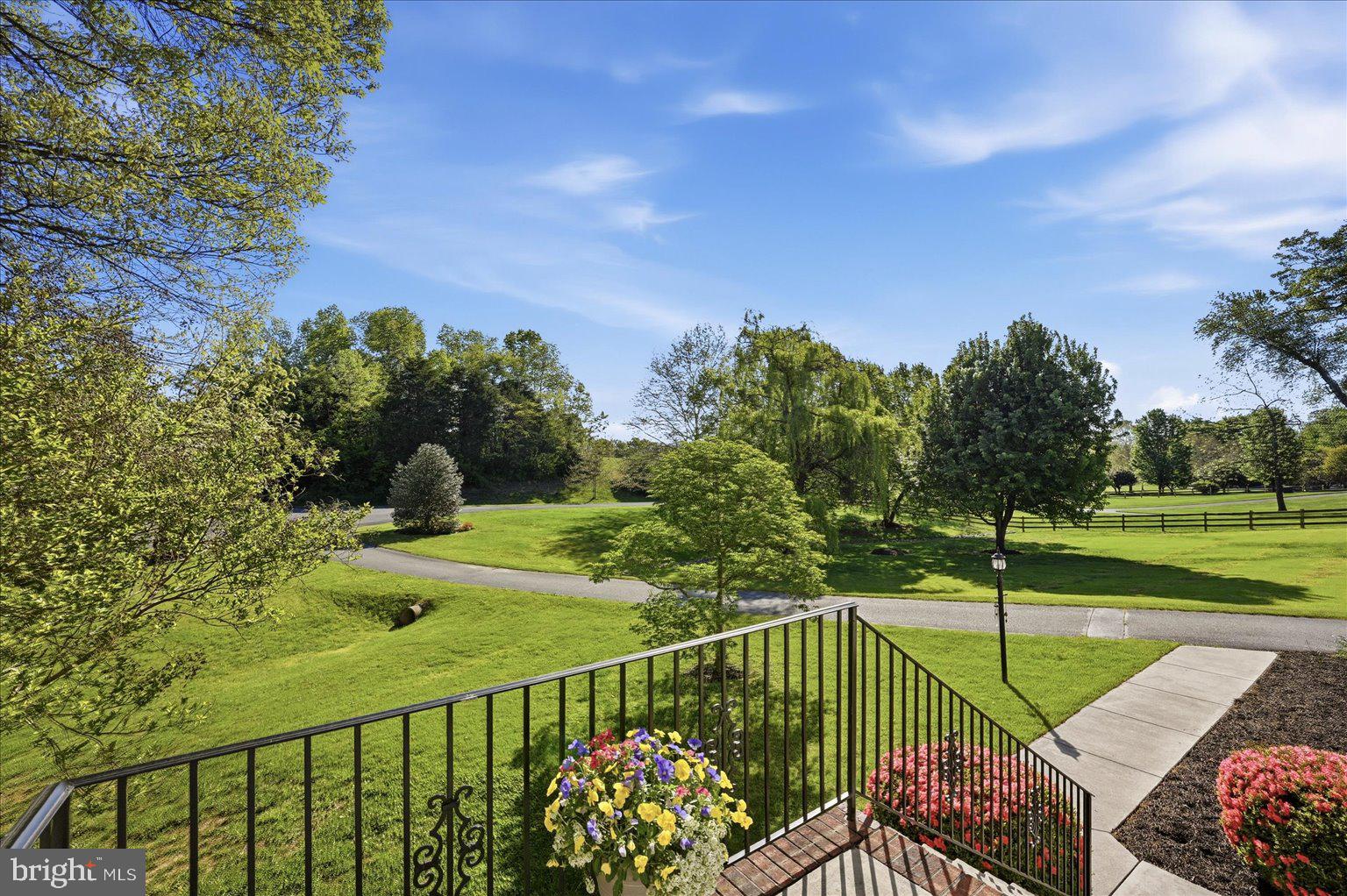 155 Bunchberry Ridge Court Stephens City, VA 22655 - Photo 3 of 71