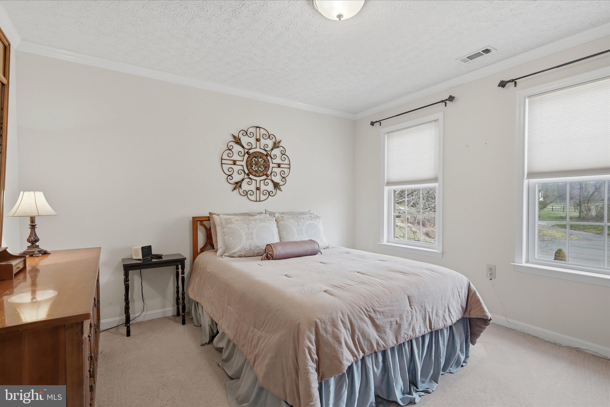 155 Bunchberry Ridge Court Stephens City, VA 22655 - Photo 32 of 71 Bedroom