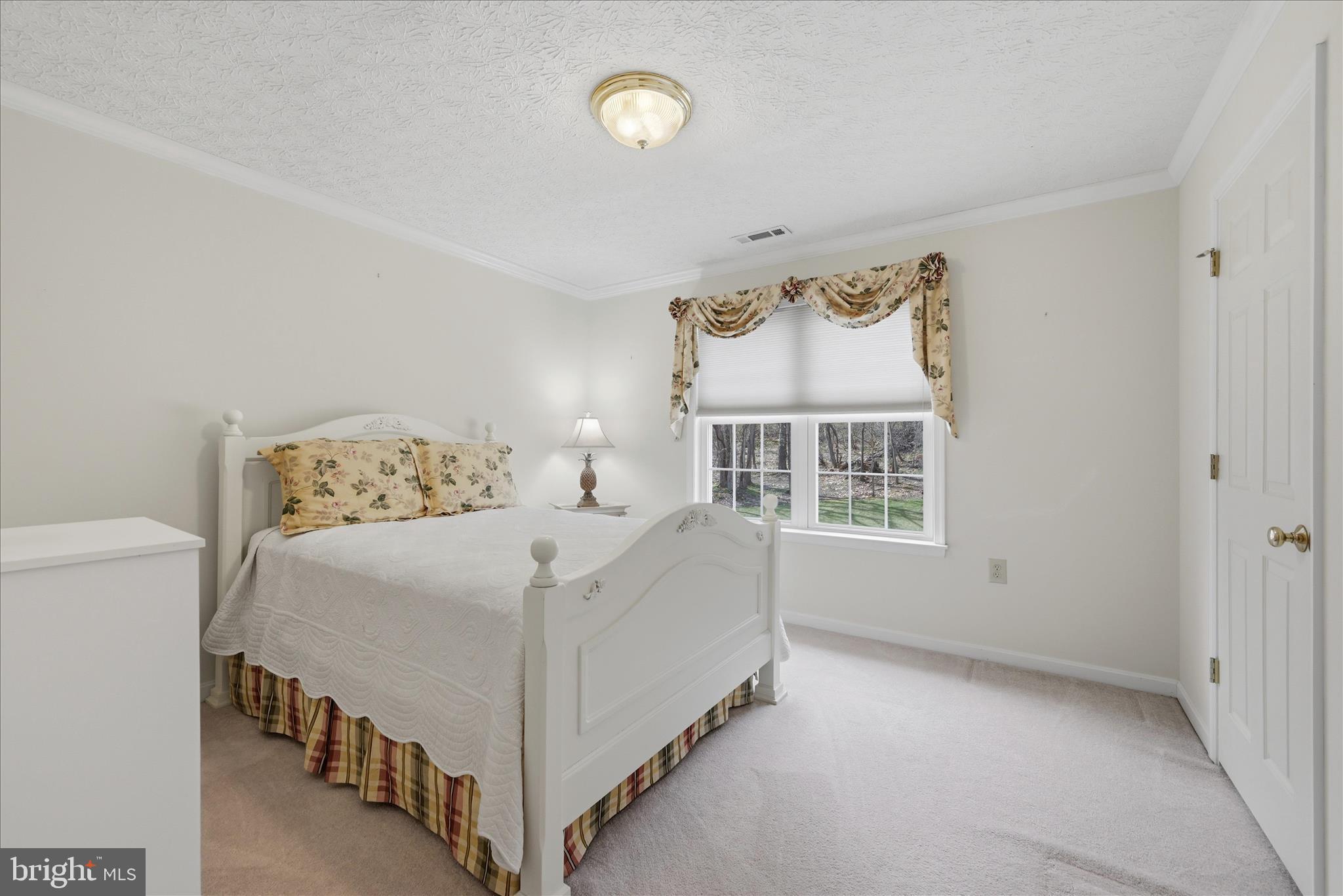 155 Bunchberry Ridge Court Stephens City, VA 22655 - Photo 34 of 71 Bedroom