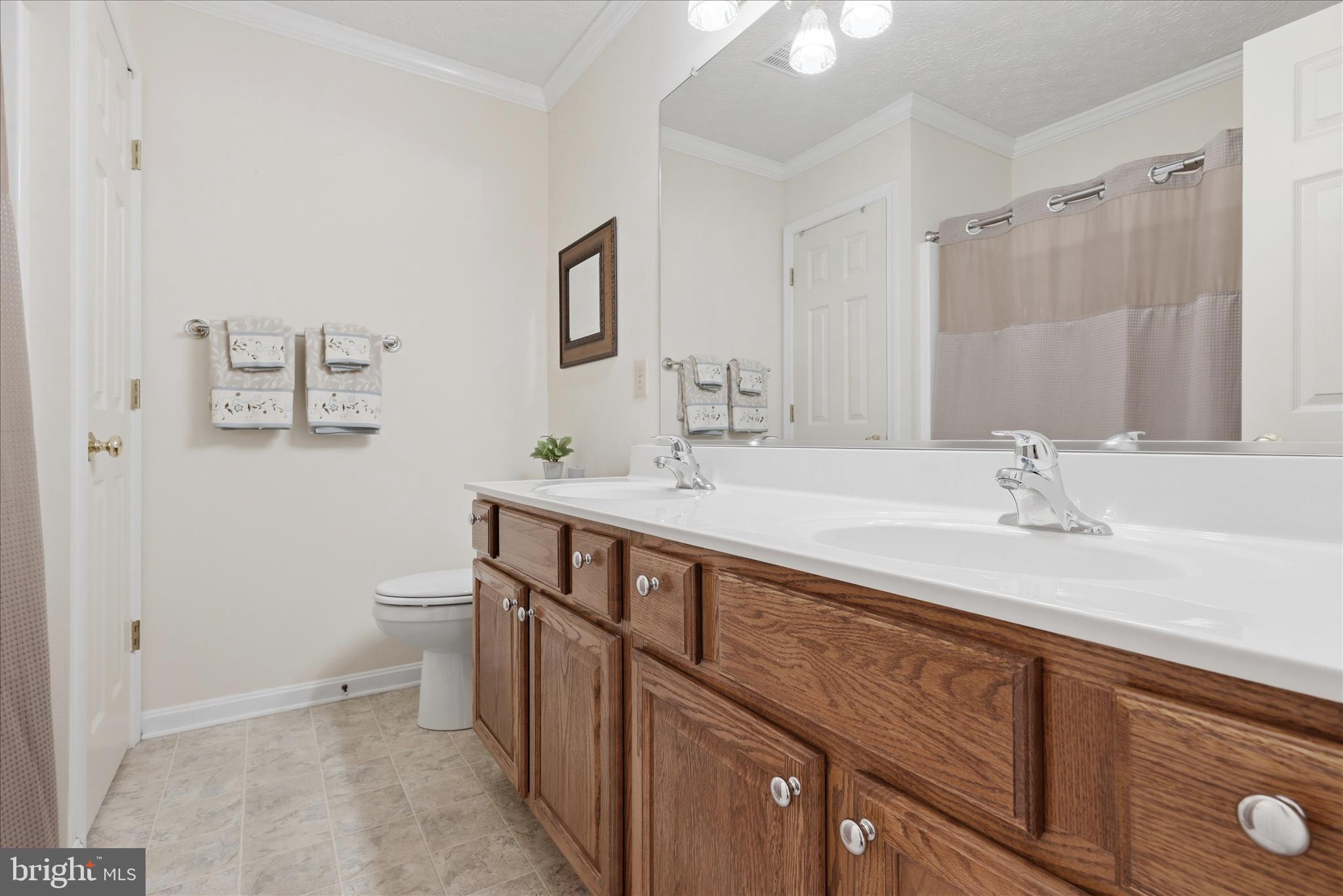 155 Bunchberry Ridge Court Stephens City, VA 22655 - Photo 38 of 71 Bathroom