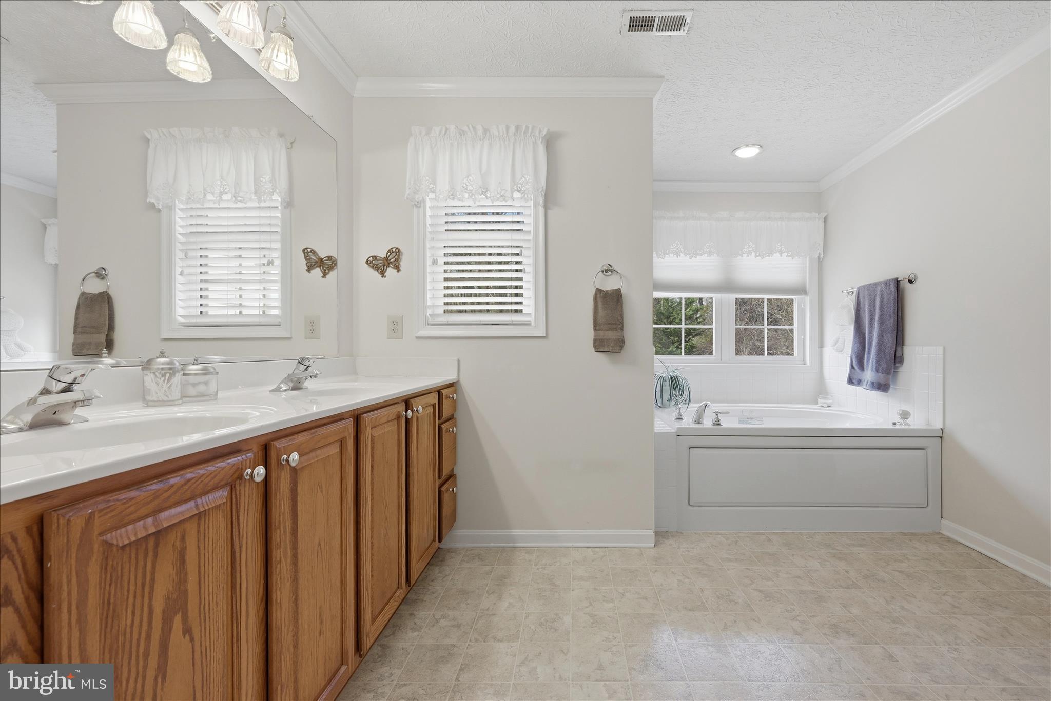 155 Bunchberry Ridge Court Stephens City, VA 22655 - Photo 42 of 71 Primary Bathroom
